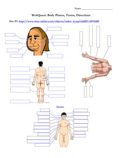 Anatomical Planes Webquest