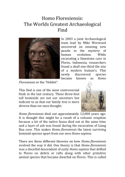 Homo Floresiensis