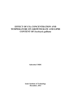 Effect of CO2 concentration and temperature on growth rate