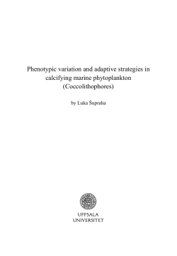 Phenotypic variation and adaptive strategies in calcifying marine