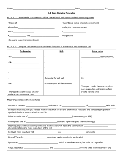 Effect on plant cell