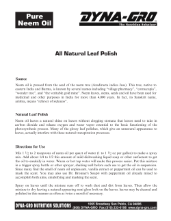 All Natural Leaf Polish