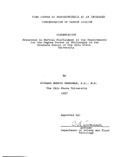 TIME COURSE OF PHOTOSYNTHESIS AT AN INCREASED