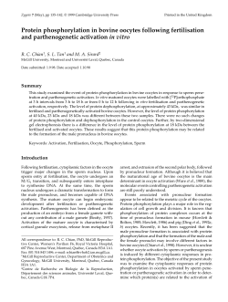 Protein phosphorylation in bovine oocytes
