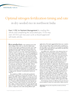 Optimal nitrogen fertilization timing and rate