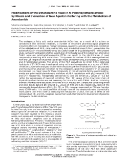 Modifications of the Ethanolamine Head in N