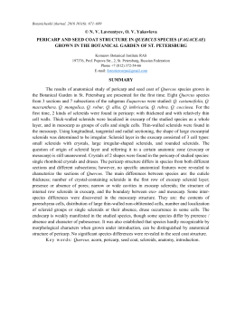 Pericarp and seed coat structure in Quercus species (Fagaceae