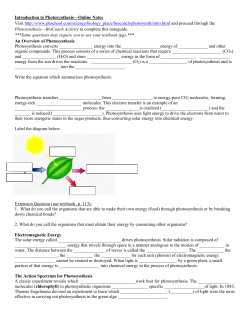 Introduction to Photosynthesis&mdash;Online Notes Visit http://www