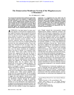 The Demarcation Membrane System of the