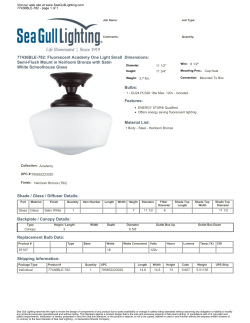 77436BLE-782: Fluorescent Academy One Light Small Semi