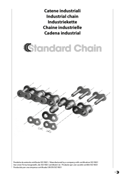 Catene industriali Industrial chain Industriekette Chaine