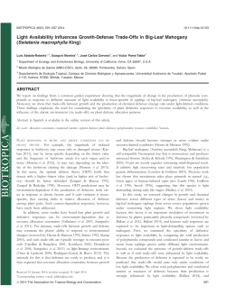 Light Availability Influences GrowthDefense TradeOffs in BigLeaf