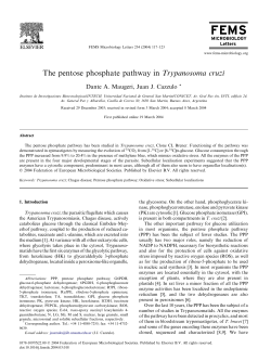 The pentose phosphate pathway in Trypanosoma cruzi
