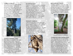 Benefits of Trees Brochure.pub
