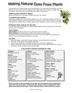 Making Natural Dyes and Paper