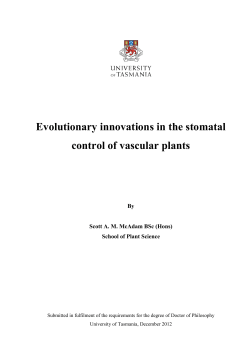 Evolutionary innovations in the stomatal control of