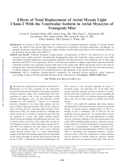 Effects of Total Replacement of Atrial Myosin Light Chain