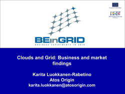 Clouds and Grid: Business and market findings