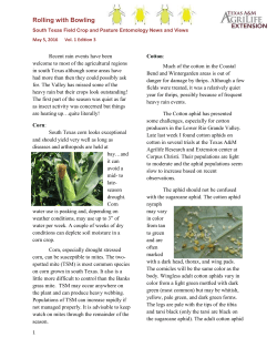 Rolling with Bowling - Better Yield in the Field