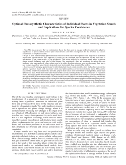Optimal Photosynthetic Characteristics of Individual Plants in