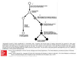 Slide 1 - Ommbid.com