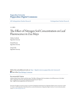 The Effect of Nitrogen Soil Concentration on Leaf Fluorescence in