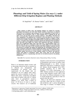 Phenology and Yield of Spring Maize (Zea mays L.) under Different