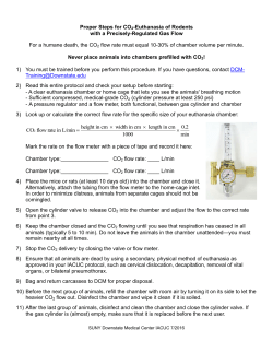 Proper Steps for CO2-Euthanasia of Rodents with a Precisely