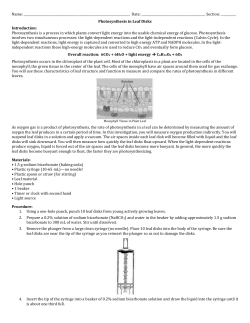 Photosynthesis Lab