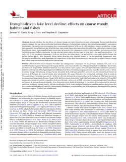 Drought-driven lake level decline: effects on coarse woody