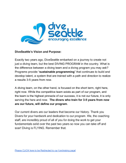 DiveSeattle`s Vision and Purpose: Exactly two years