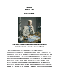 Chapter 11 Web Text Box 3 A cytochrome ABC Sir Frederick