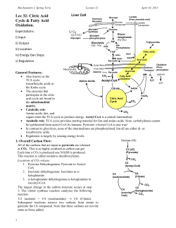 Catabolism of Carbohydrates and Fatty Acids