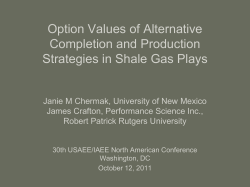 Option Values of Alternative Completion and Production