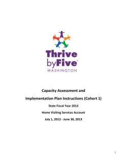 III. Capacity Assessment and Implementation
