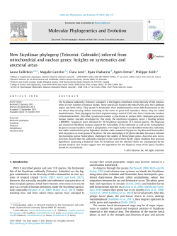inferred from mitochondrial and nuclear genes