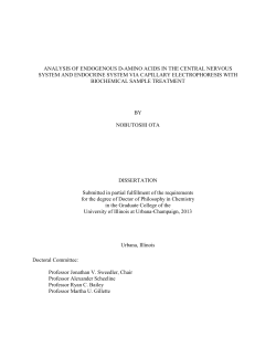 Development of d-Amino Acid Peak Identification