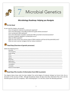 Road Stop (The transfer of information from DNA to protein)