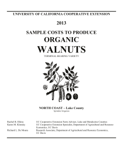 2013 Sample Costs to Produce Organic Walnuts