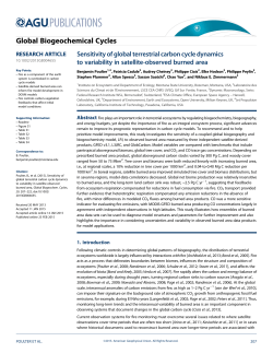 Sensitivity of global terrestrial carbon cycle dynamics to variability in