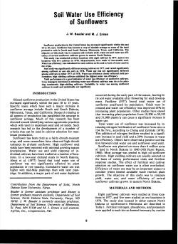 Soil Water Use Efficiency of Sunflowers