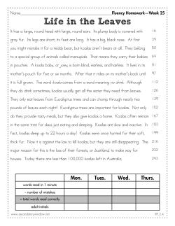 Life in the Leaves - Sacred Heart School