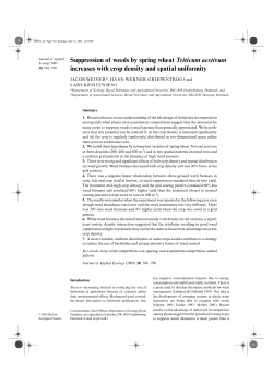 Suppression of weeds by spring wheat Triticum aestivum increases