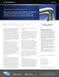GDF SUEZ Gold Client Solutions Use Case