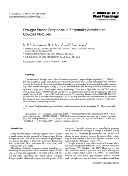 Drought Stress Response in Enzymatic Activities of Cowpea Nodules