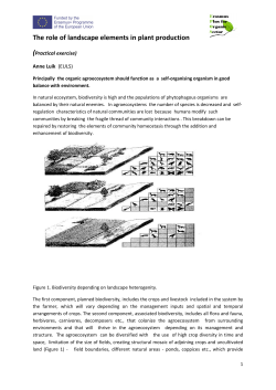 The role of landscape elements in plant production