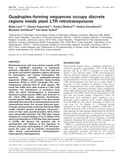 Quadruplex-forming sequences occupy discrete regions inside plant
