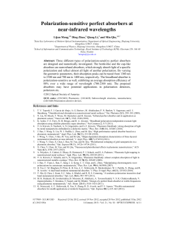 Polarization-sensitive perfect absorbers at near