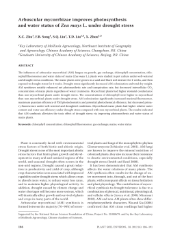 Arbuscular mycorrhizae improves photosynthesis and water status