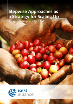 Stepwise Approaches as a Strategy for Scaling Up